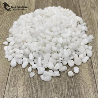 [ Nhiều size ] Đá sỏi trắng trang trí ( chọn size )