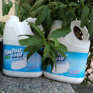 Nước Rửa Bát thái lipon 3600ml