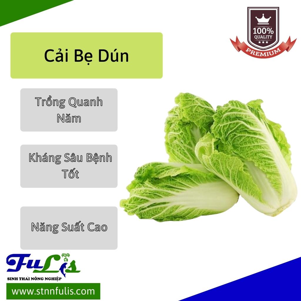 Hạt Giống Cải Rổ - Cải Bẹ Dún - Dễ Trồng Và Ít Sâu Bệnh Hại - stnnfulis