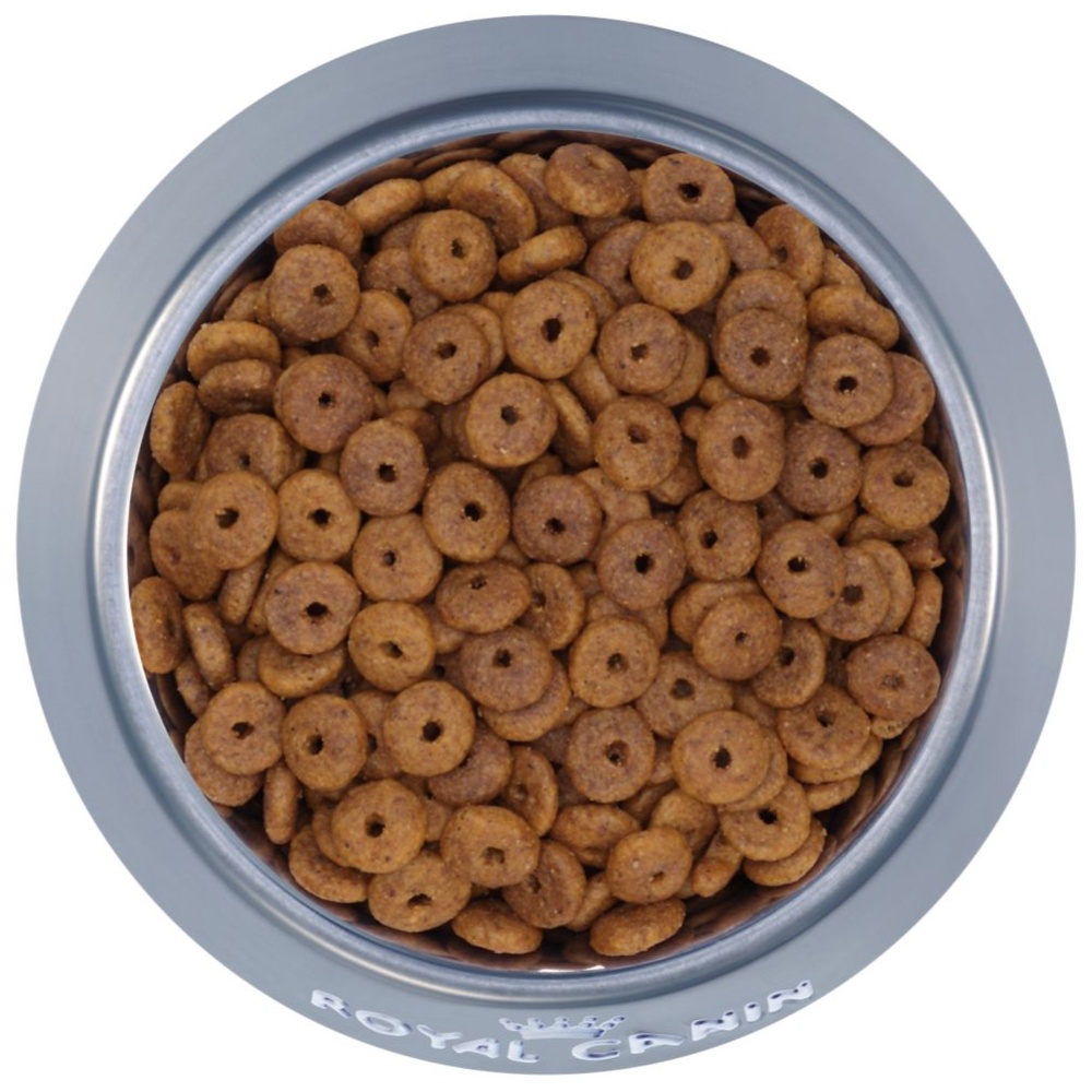 Royal Canin Fit 32 Thức ăn cho mèo bao 10 kg nhập Pháp chính hãng-Thaivucattery