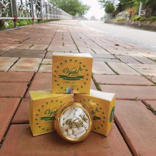 Mask Yến Vychi
