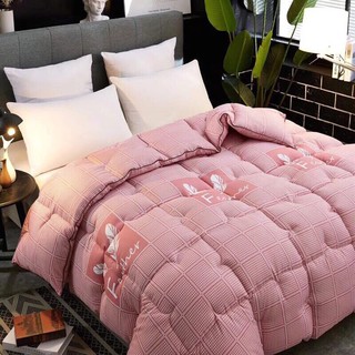 Chăn phao lông vũ hàng Việt Nam xuất khẩu 2.3m nặng 3kg