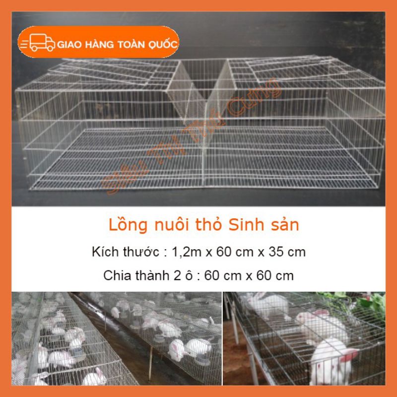 Lồng nuôi thỏ sinh sản,công nghiêp