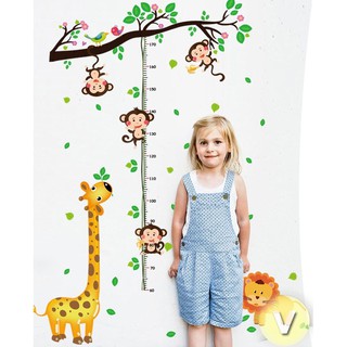 Decal dán tường Thước đo chiều cao khỉ con