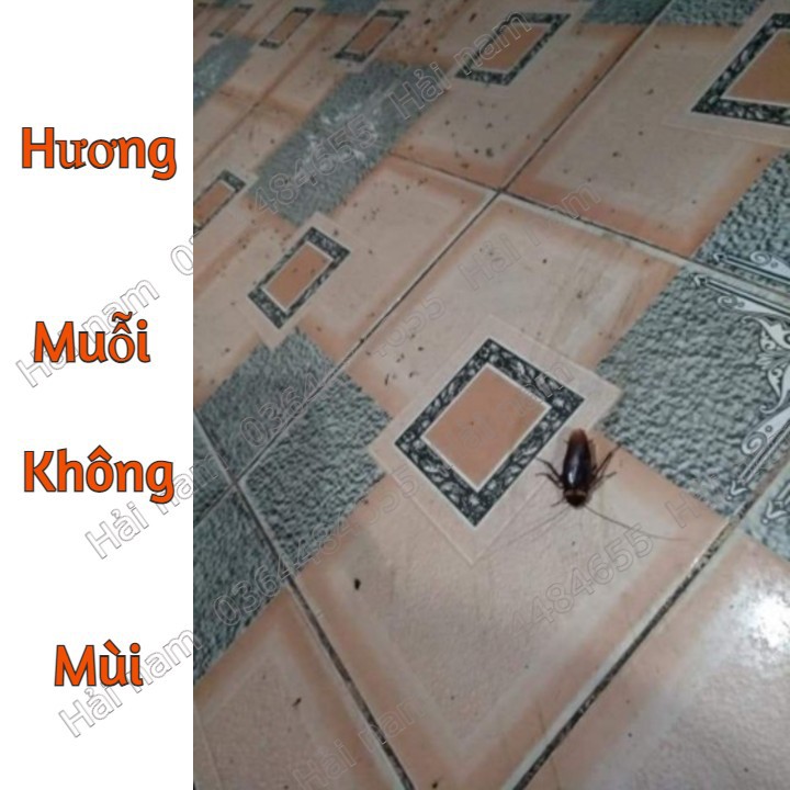 Hương Muỗi, Nhang Muỗi, Diệt Côn Trùng An Toàn Siêu Hiệu Quả