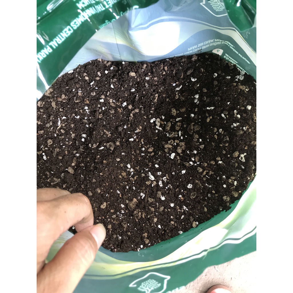 SOIL MIX BA - Bao 6.5 lít  - Đất trộn hữu cơ chuyên trồng sen đá xương rồng.