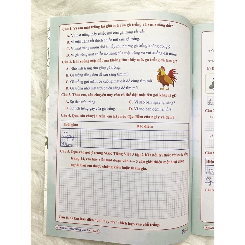 Sách - Bài Tập Tuần Tiếng Việt Lớp 3 - học kì 2 - Kết nối tri thức với cuộc sống (1 quyển)