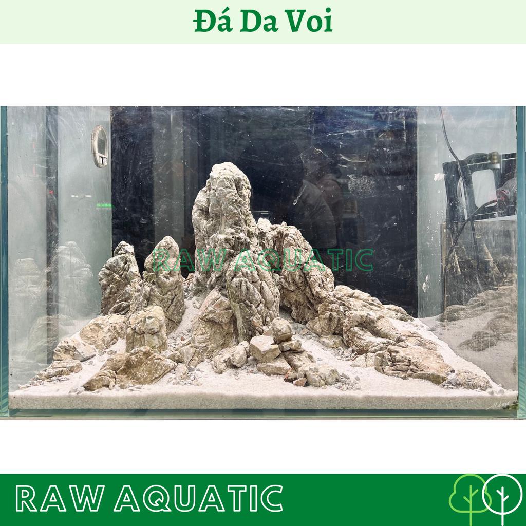 Đá Da Voi Trang Trí, Setup Bể Cá Cảnh, Bể Thủy Sinh