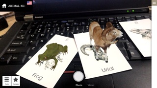 Bộ thẻ animal 4d