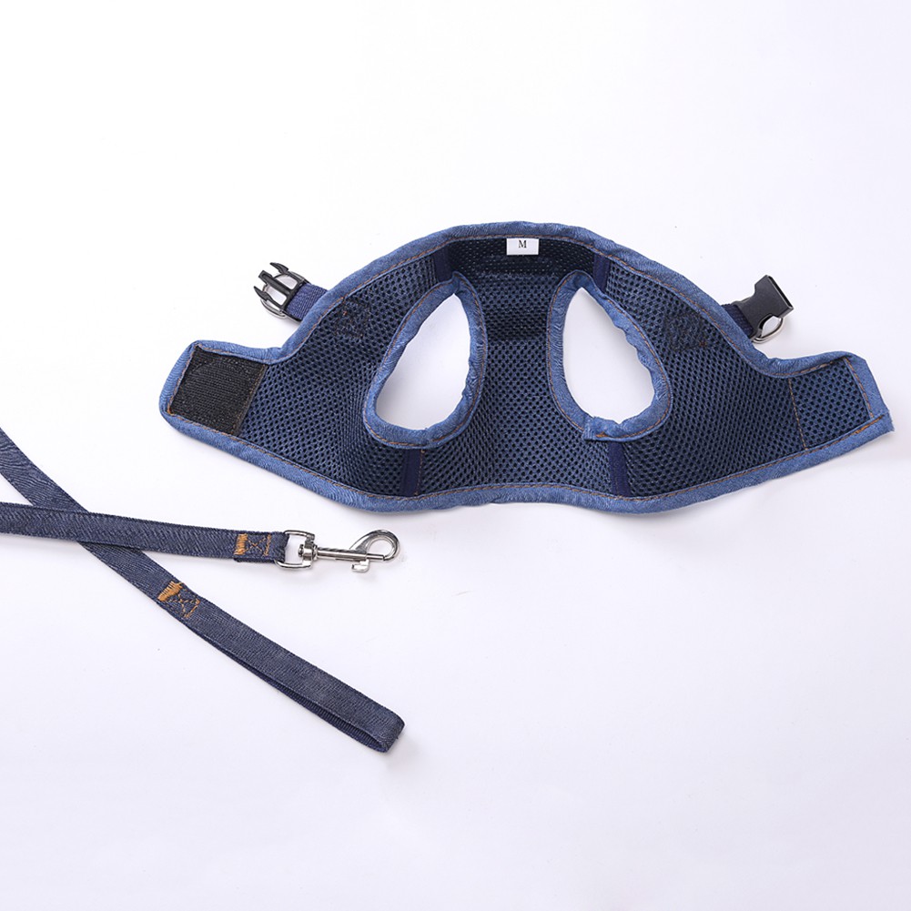 Vòng Cổ Và Dây Dắt Thú Cưng Đi Dạo Đáng Yêu