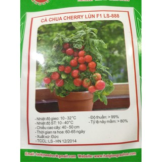 Cà chua cherry lùn f1 nhập khẩu.
