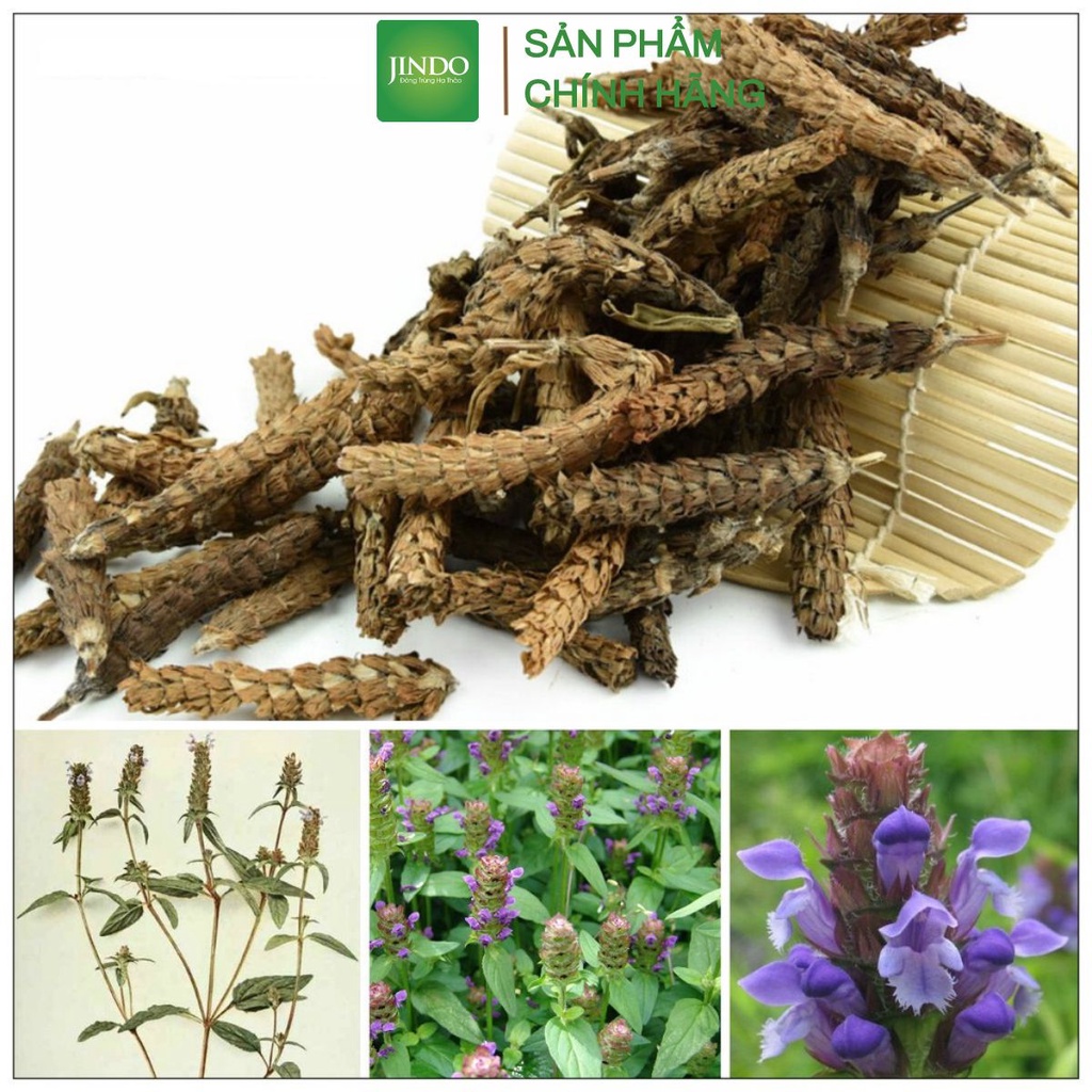 Hạ khô thảo cao cấp khô JINDO 1kg thông tiểu tiện, hạ huyết áp
