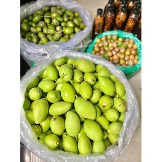 XOÀI, CÓC BAO TỬ, SẤU CHÍN SIÊU NGON