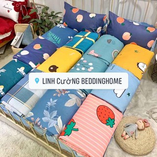 Set cotton chăn trần cực thích