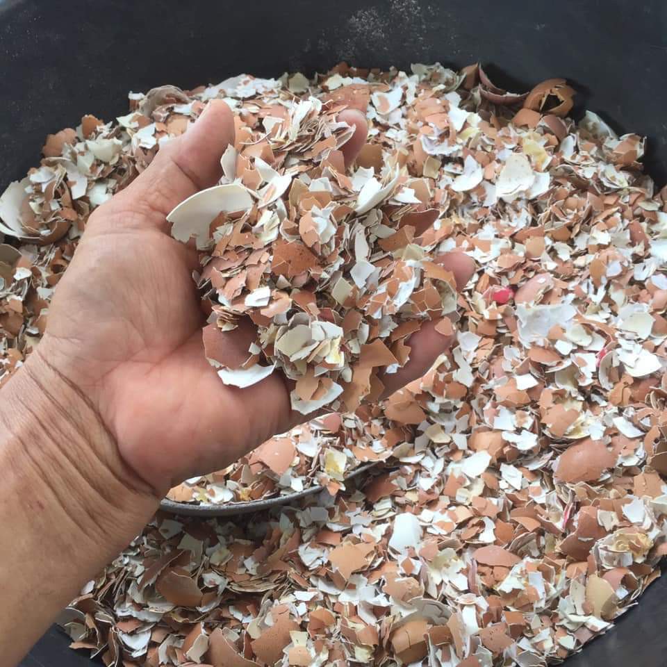 Túi 1kg Vỏ trứng Oganic gà đã xử lý bón cây bổ sung canxi chống rụng hoa, nứt quả