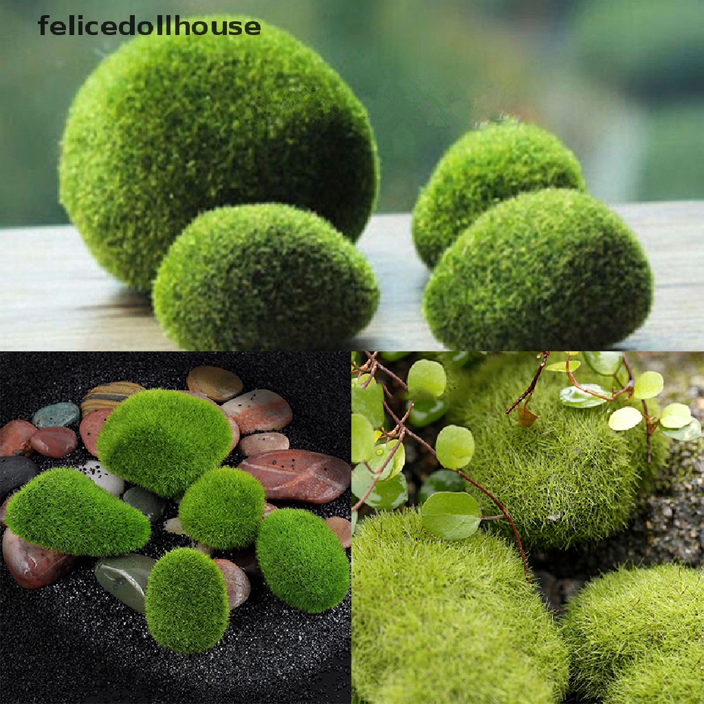 Đá Cỏ Marimo Nhân Tạo Mini Trang Trí Vườn Thần Tiên Terrarium