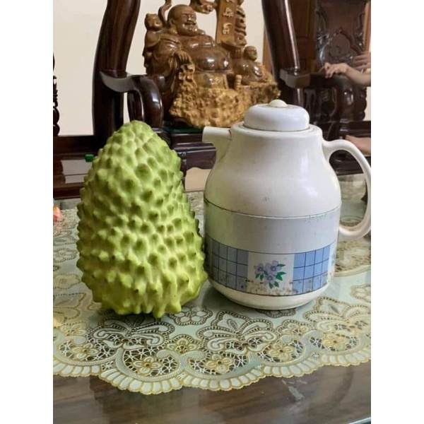 Cây Giống Na Sầu Riêng Trái To Khổng Lồ