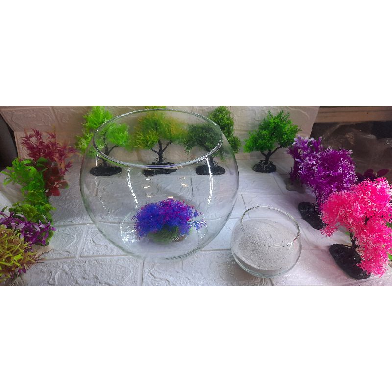 Chậu Thủy Tinh Nuôi Ốc Mượn Hồn Tặng Cát+Cây Ngẫu Nhiên