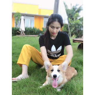 áo phông croptop