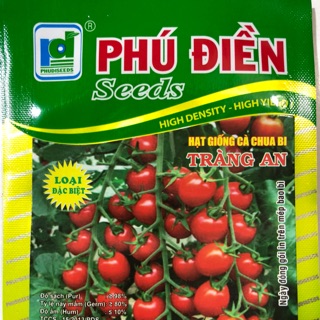 Hạt giống cà chua bi tràng an