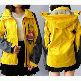 áo gió tnf chống nước 100%