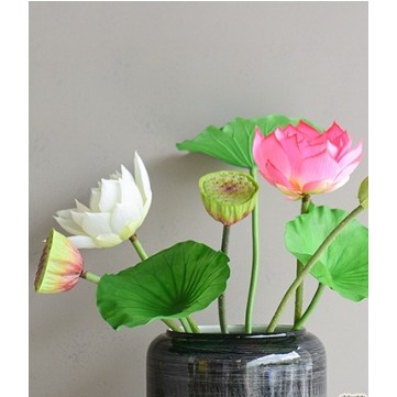 com bo hoa sen trang trí