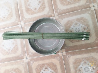 Combo 8 Kẽm làm hoa (cây to)