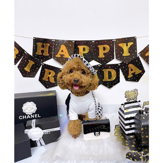 Set váy + mũ kẻ caro cho thú cưng