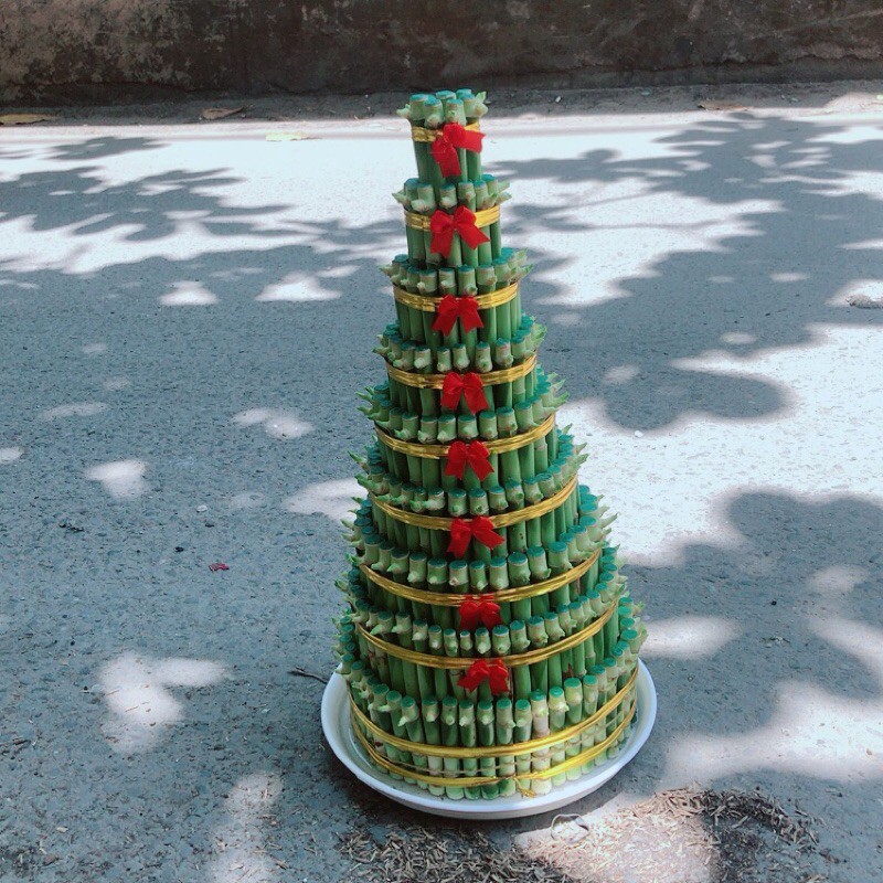 Trúc Phát Tài 9 Tầng Kèm Dĩa