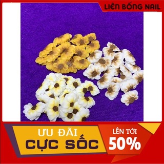 Hoa bột nail - Hoa hướng dương bột mẫu mới