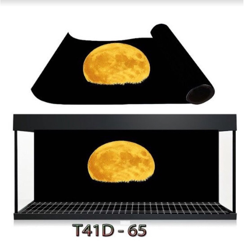 Tranh 3D hồ cá thuỷ sinh, bán cạn - chủ đề Ánh trăng part 3