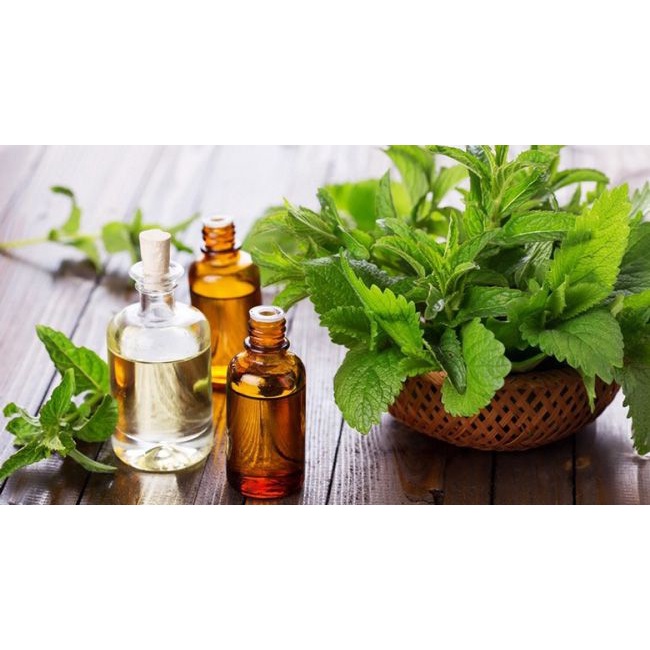 VIÊN XÔNG HƯƠNG TRÀM - VIM BÁO GẤM - XÔNG GIẢI CẢM, GIẢM MỆT MỎI, GIÚP THƯ GIÃN - CHÍNH HÃNG CÔNG TY