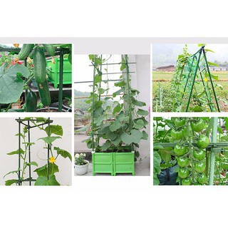 13 Loại KHỚP NỐI Fi 11 liên kết ống thép bọc nhựa  dùng làm cây đỡ hoa hồng, làm giàn dây leo