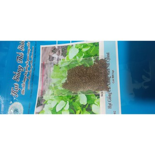 30GR 24K.HẠT Hạt Giống Cải Xoong Miền Núi Upland (| G8*W52)