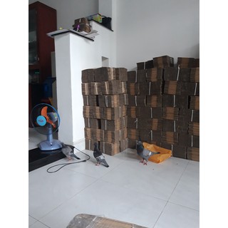 100 hộp 15x8x6 cm