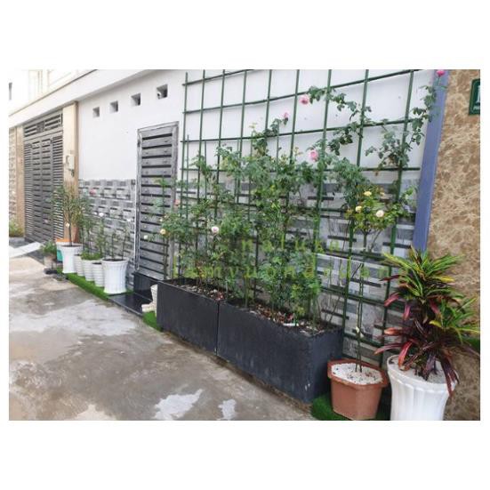 COMBO 5 Ống Thép Bọc Nhựa Dùng làm Khung Đỡ,Giá Đỡ Hoa Hồng Leo,Giàn Leo Bầu Bí Mướp,Khung cây thép