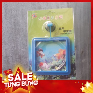 Vòng giữ thức ăn cho cá - Xả kho