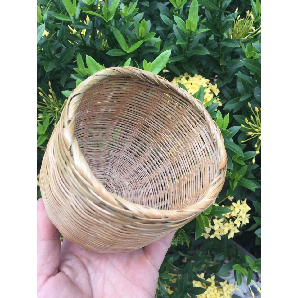 Tổ tre đẻ cho chim manh manh, sắc nhật,..