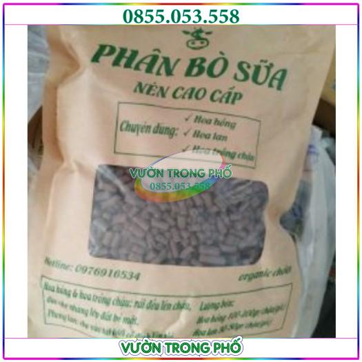 Gói 1 kg Phân Bò Sữa nén viên cao cấp chuyên bón cho hoa, cây cảnh