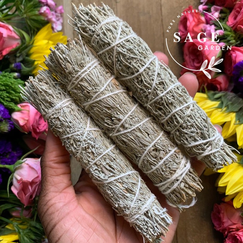 XÔ THƠM THỊNH VƯỢNG_Size cơ bản (10-12cm)_SAGE GARDEN