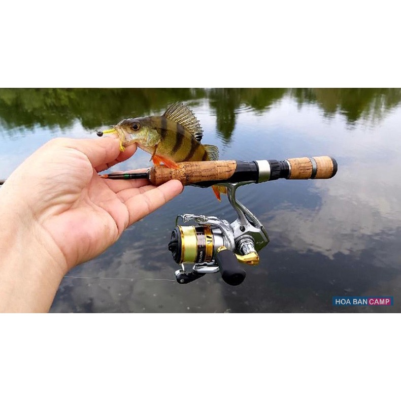 Máy Câu Dọc Shimano SEDONA