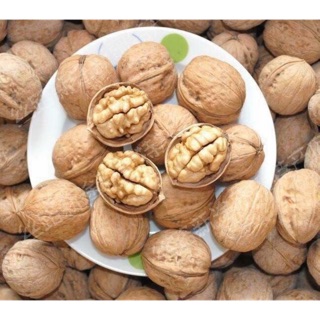 Hạt óc chó