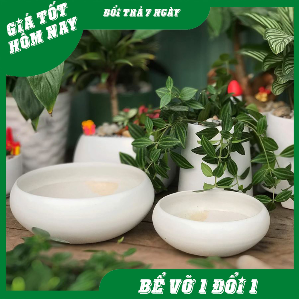 Chậu sứ hình ang tròn loại lớn 21-26cm . vinxanh