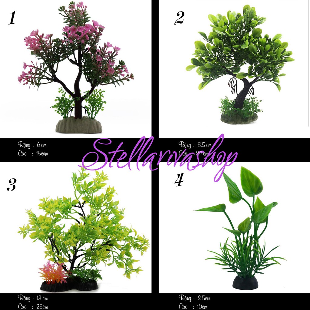 Cây Xanh Thủy Sinh trang trí tiểu cảnh, marimo, aquarium 05 quà tặng trang trí