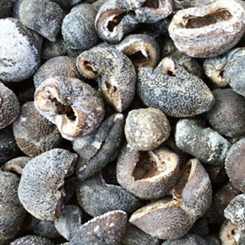 100gr Hải sâm loại MiNi nhãn chuẩn y hình