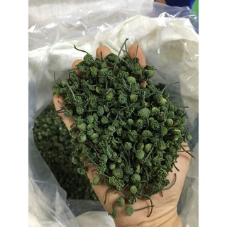 Sỉ lẻ nụ tam thất bao tử 250g - 500g