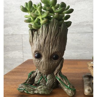 Hộp Đựng Bút Groot (Chậu Cây Mini) - 14cm