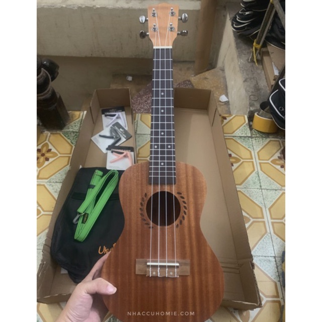 ĐÀN UKULELE CONCERT VIỀN LÚA