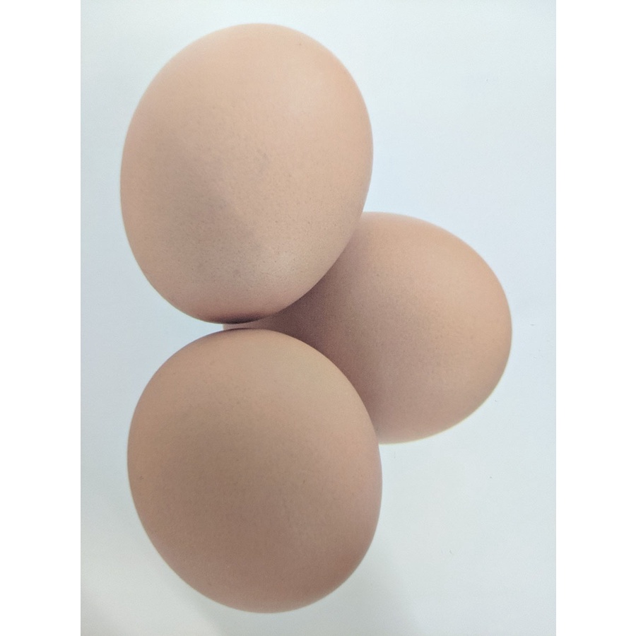 Flashcard - Food - Đồ ăn