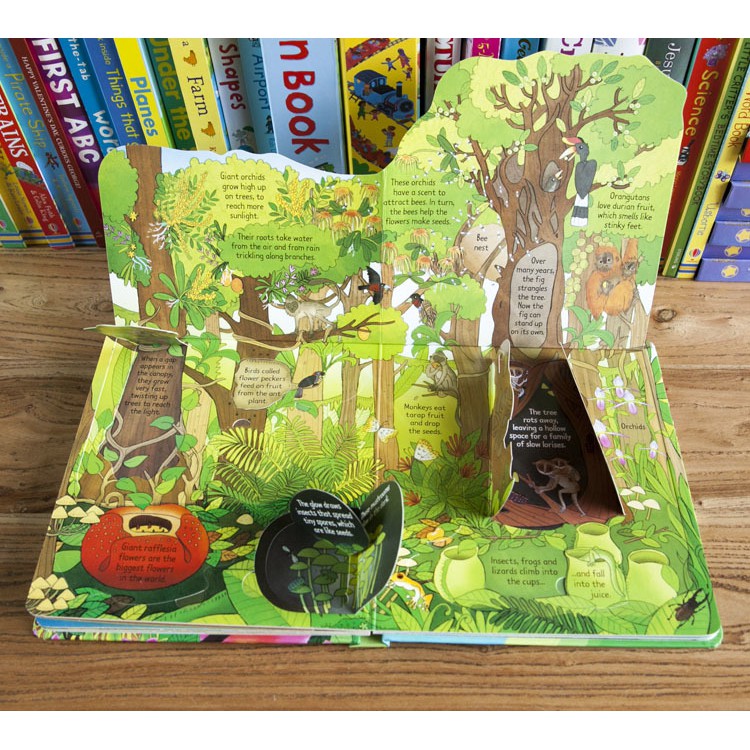 Sách lật mở Look Inside Jungle Usborne cho bé | WebRaoVat - webraovat.net.vn